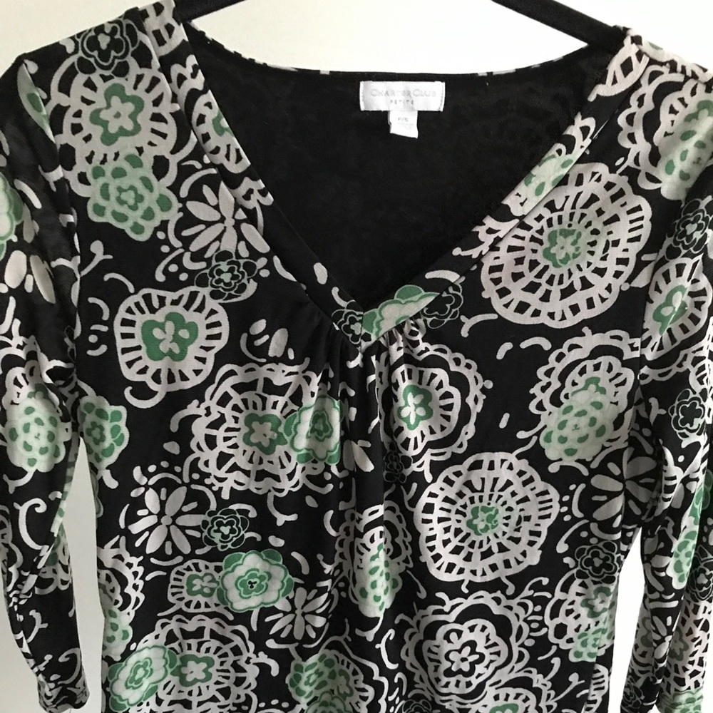 Charter Club V-Neck Blouse